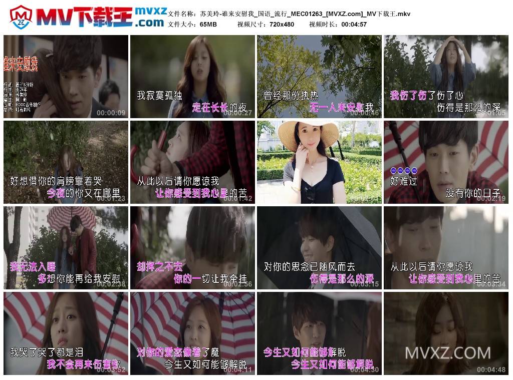 苏美玲-谁来安慰我_国语_流行_MEC01263